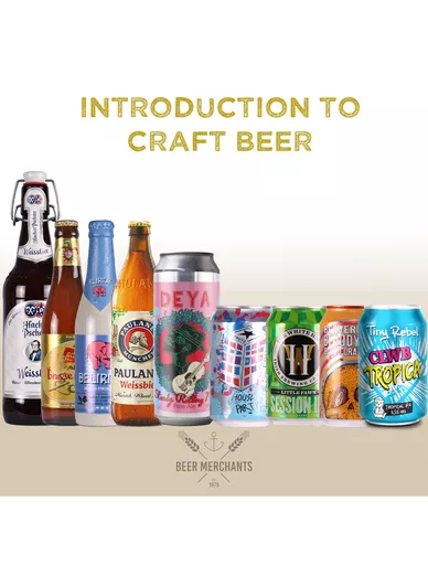 Introduction to Craft Beer Mixed Case