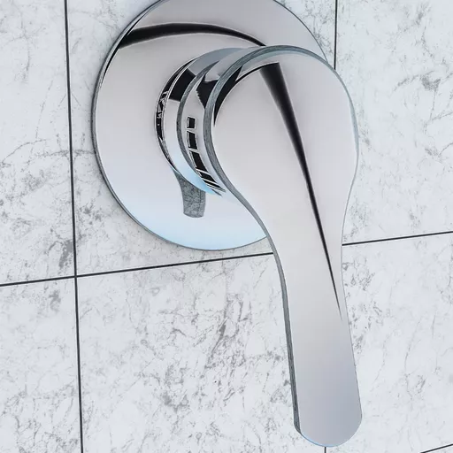Manual Valve Exposed/Concealed Chrome