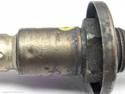 066e436d-73ac-44db-926e-366e8ac50c30.jpeg?