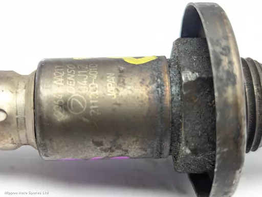 066e436d-73ac-44db-926e-366e8ac50c30.jpeg?