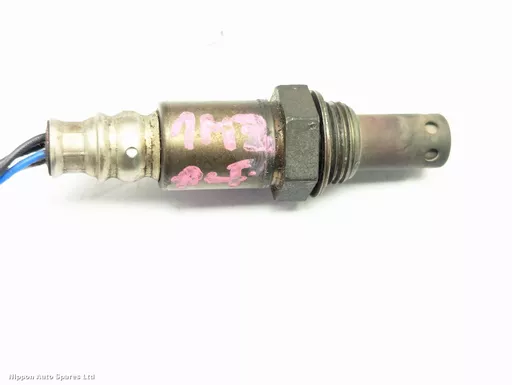 25d488f2-eb3b-4b10-b700-fdd6b5f856b9.jpeg?