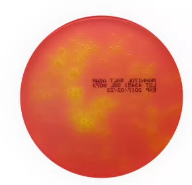 MANNITOL SALT AGAR 90MM