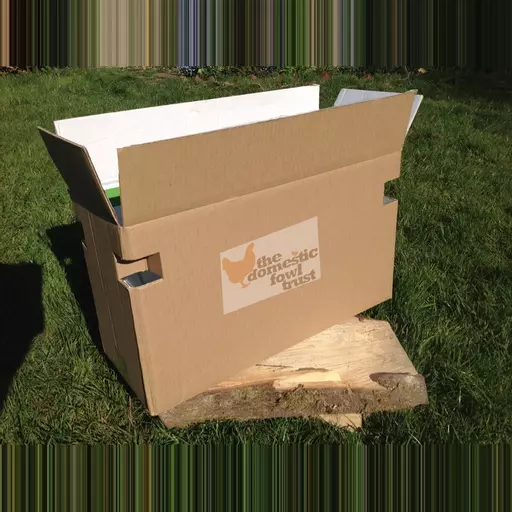 Poultry carry box (suitable for up to 2 hens or 3 bantams)