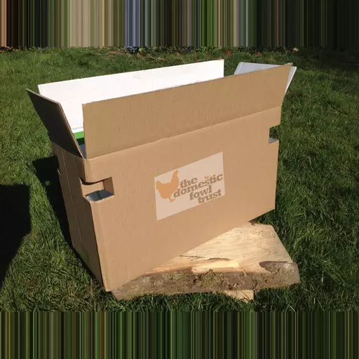 Recycled Poultry Carry Box (suitable for up to 2 hens or 3 bantams)