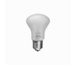 Lamp100w1.jpg