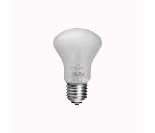 Lamp100w1.jpg