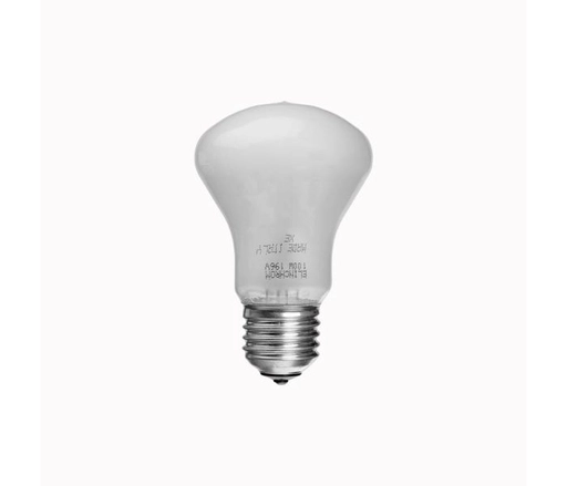 Elinchrom Lamp 100 W/196V E27