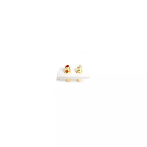rsz_0_800_5c088_white_twin_rca_coupler_euro_module.jpg?