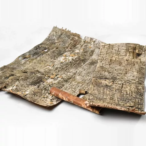 Birch Bark Sheet