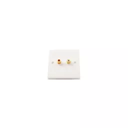 rsz_0_800_0e81d_white_two_rca_coupler_wallplate.jpg?