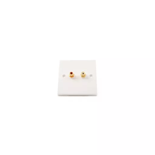 rsz_0_800_0e81d_white_two_rca_coupler_wallplate.jpg?
