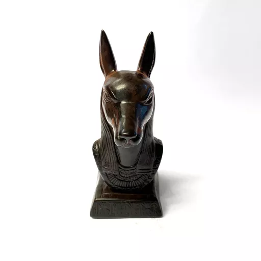 Anubis Head