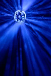 Algam Moving Miror 6-3.jpg