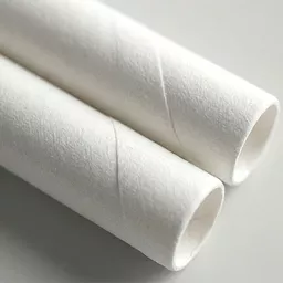 _0000s_0000_6 x 200mm Paper Straw White.jpg