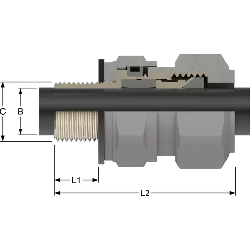 053800-TECH01.png