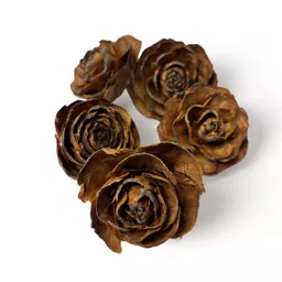 Cedar Rose 2.jpg