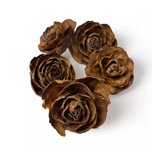 Cedar Roses (5)