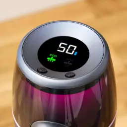 SC15825QOC_13.jpg?