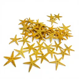 50 x Mini starfish 2.jpg