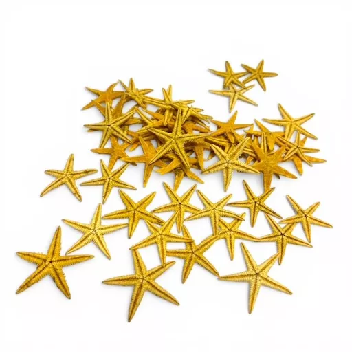 50 x Mini starfish 2.jpg