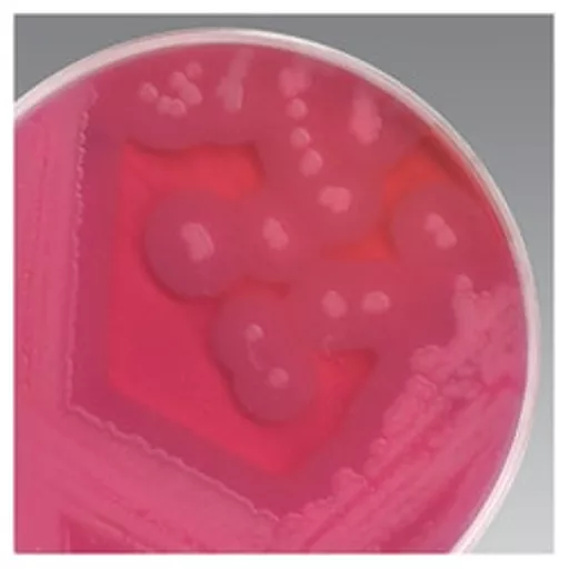 1756392390913dde1835cd4ba01d51b09f59352931.png?