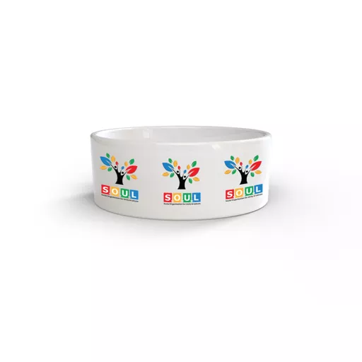 mockup-1771523098808-0-0.jpg?