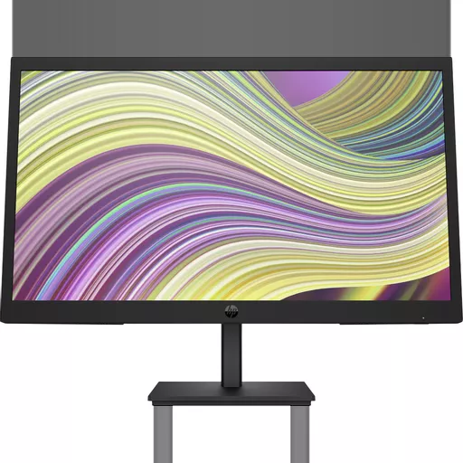 HP P22v G5 FHD Monitor