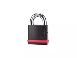 1546516446-92774800.jpg?