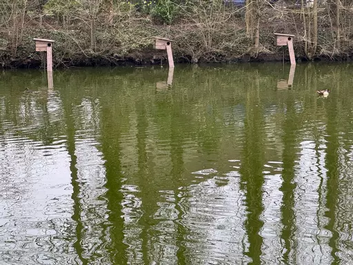 Pole Duck Nest Boxes times three.jpg