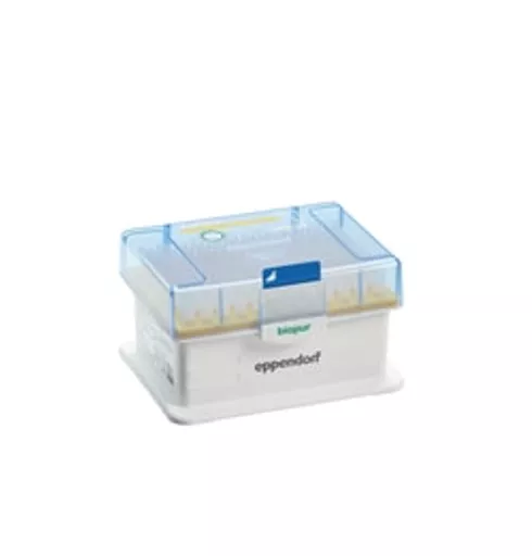 1770207303e6f69448cd7a8c327990e013c36b61b3.png?