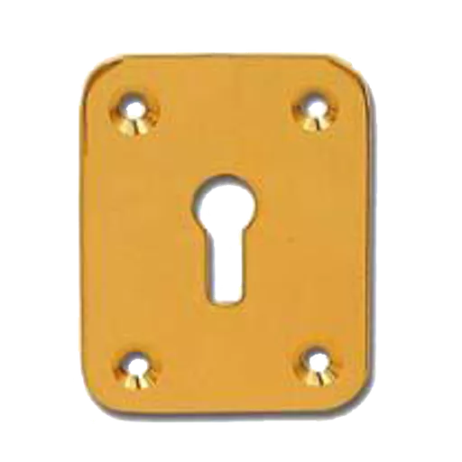 DORTREND 2151 Front Fix Escutcheon