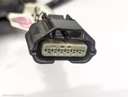 98df1b63-684b-4d0b-9fa8-3f038dc1e50a.jpeg?