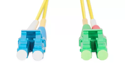 JLZ06Y3sJk-B0JRILGBVig.c-r.jpg?