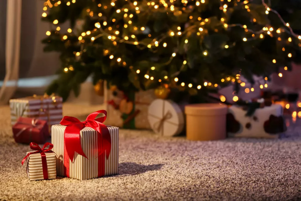 Swan Christmas Gift Guide: Our Top 12 Picks
