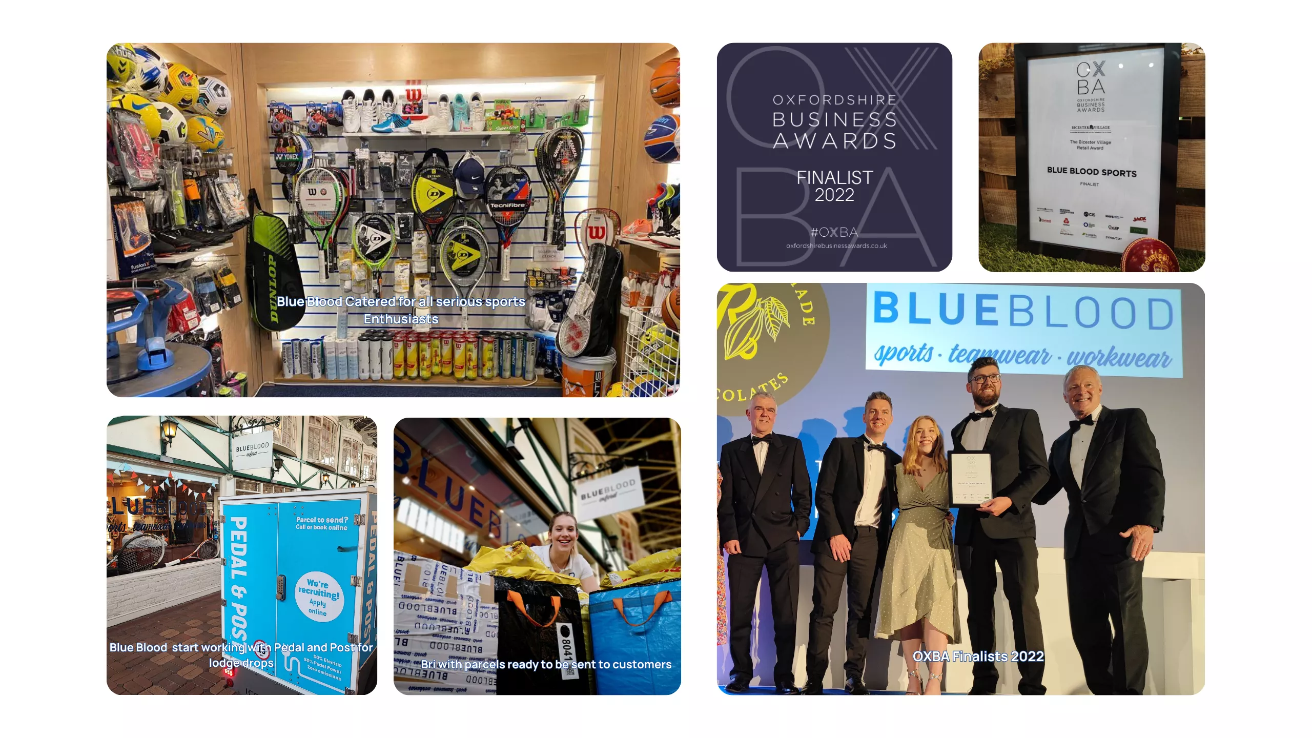 BlueBlood Our History 2022.png