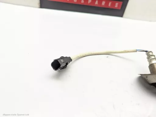 8d0e85e1-731b-4ed9-9581-fcae7a7b4ab8.jpeg?