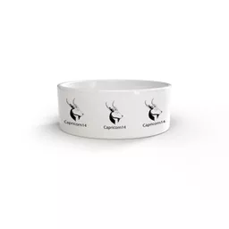 mockup-1771522545653-0-0.jpg?