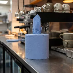 166mm x 120mm 2-Ply Centrefeed Roll Blue_0000s_0001_JAN000092.jpg