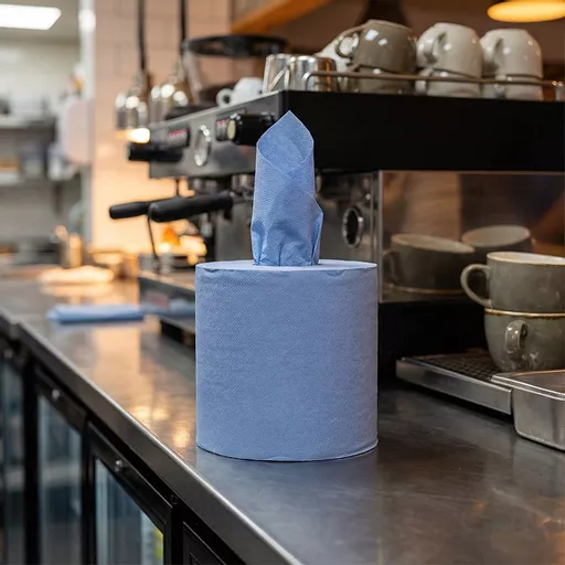 166mm x 120mm 2-Ply Centrefeed Roll Blue_0000s_0001_JAN000092.jpg