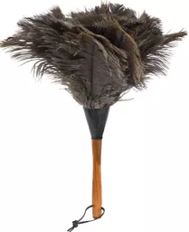 Feather Duster.jpg