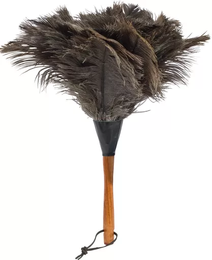 Feather Duster