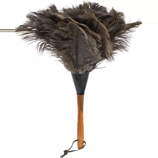 Feather Duster