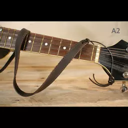 MS37 A2 mandolin brown 1.jpg