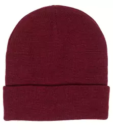 RX290%20BUR%20BACK.jpg?