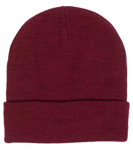 RX290%20BUR%20BACK.jpg?