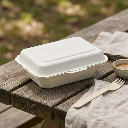 _0000s_0001_7 x 5_ Bagasse Food Container.jpg