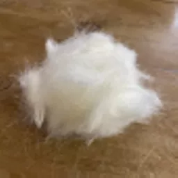 Wood Pulp Fibres.webp