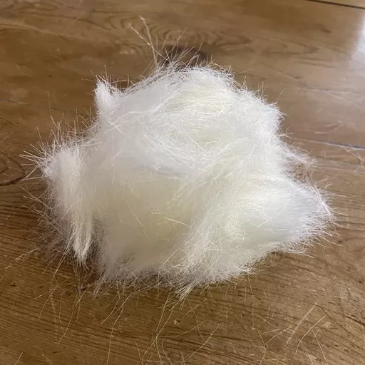 Wood Pulp Fibres.webp