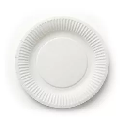 _0000s_0001_7_ Paper Plate.jpg