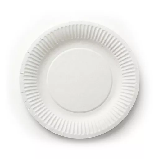 _0000s_0001_7_ Paper Plate.jpg